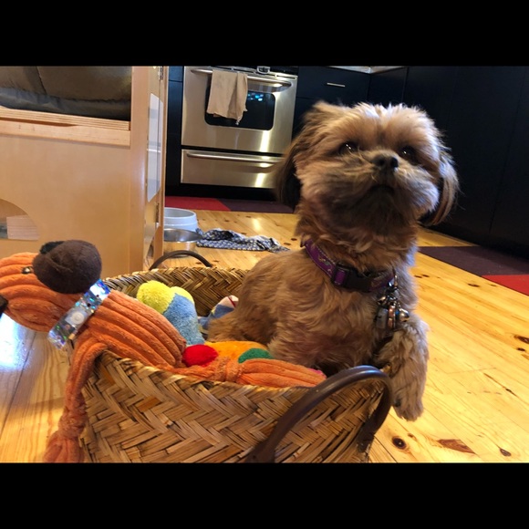 Meet your Posher, Nicole - Picture 1 of 1